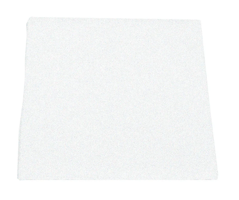 Filtre du moteur pour aspirateur chariot Johnny Vac HYDROGEN